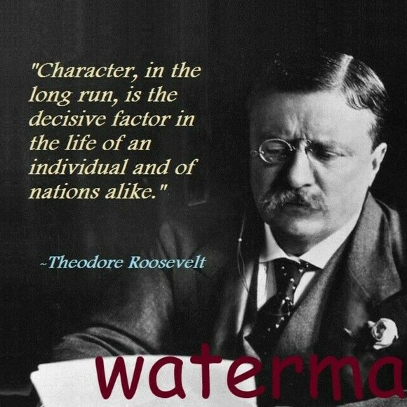 Wall Decor | President Roosevelt Character Quote Photo 11x14 | Poshmark